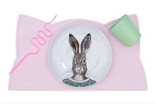 Load image into Gallery viewer, CAT PLACIE