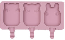 Load image into Gallery viewer, قالب القطب الجليدي