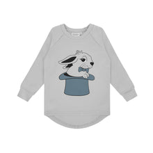 Load image into Gallery viewer, Rabbit Grey Jersey Longsleeve
