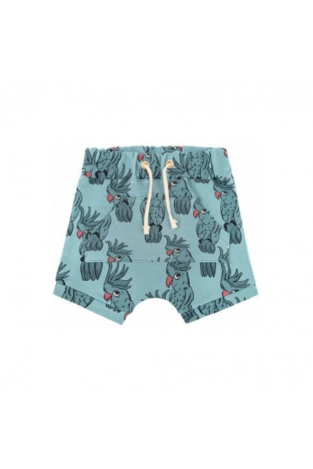 Parrot Blue Shorts