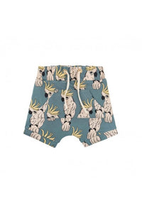 Parrot Ecru Shorts